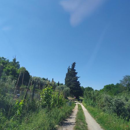 Casa Tre Pini Διαμέρισμα Serravalle Pistoiese Εξωτερικό φωτογραφία