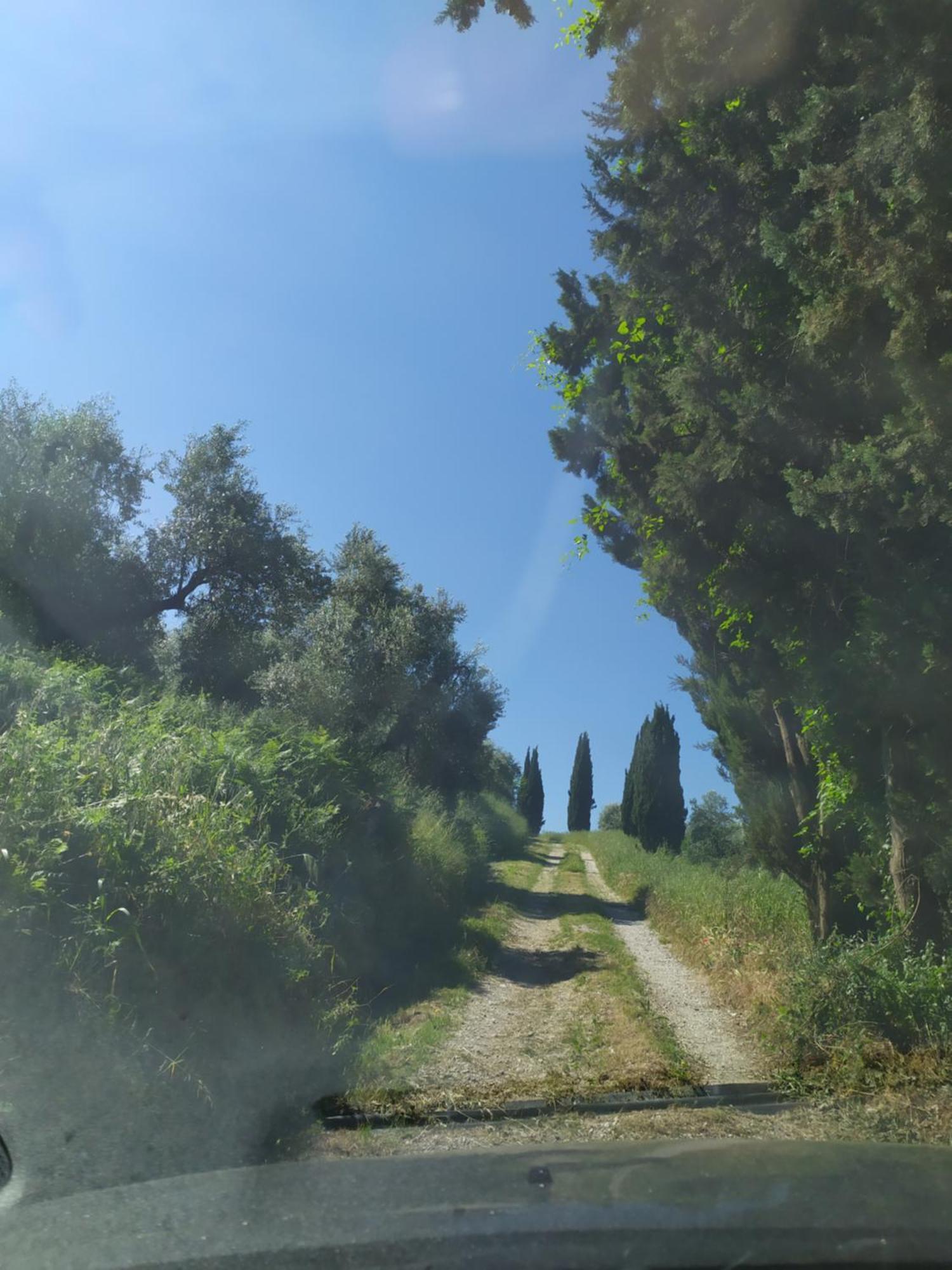 Casa Tre Pini Διαμέρισμα Serravalle Pistoiese Εξωτερικό φωτογραφία